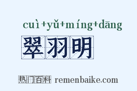 翠羽明珰是什么意思的图片